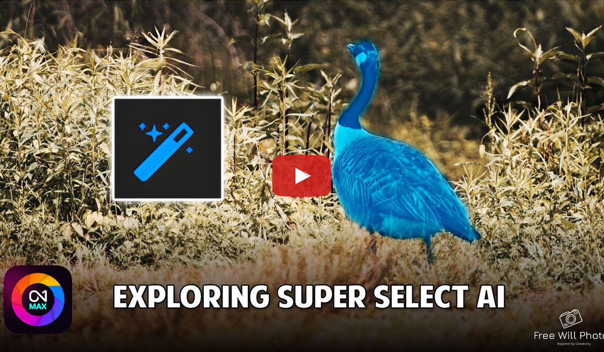 Exploring Super Select AI