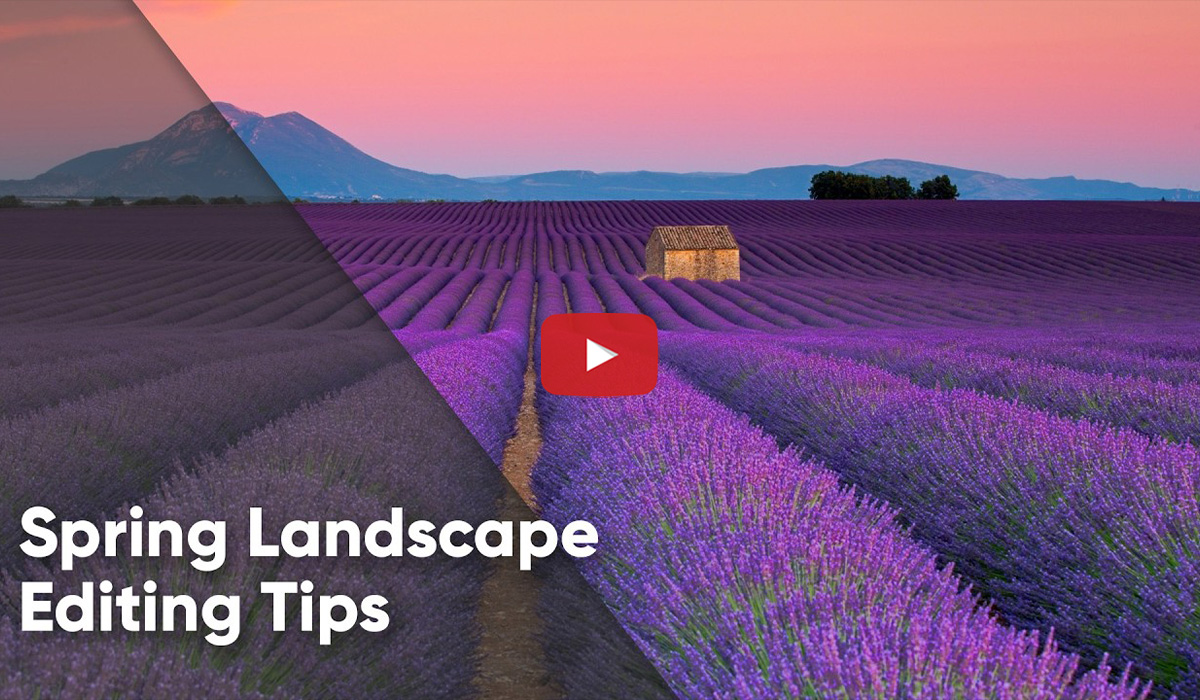 Spring Landscape Editing Tips