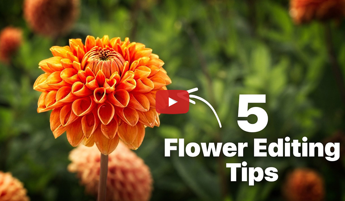 5 Flower Editing Tips