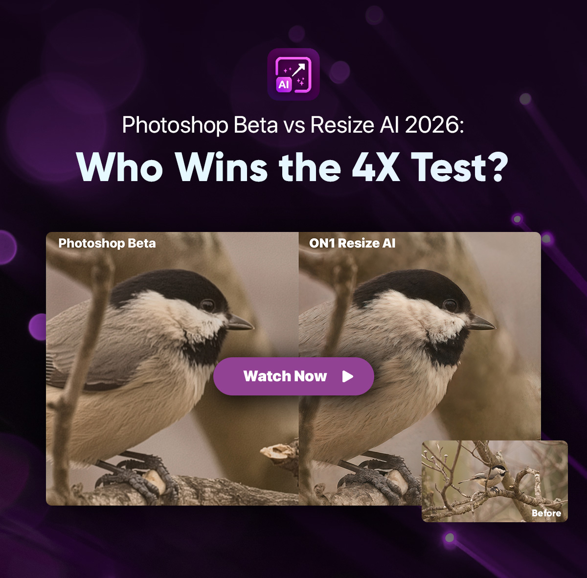 Resize AI 2026 vs Photoshop: Who Is Better?