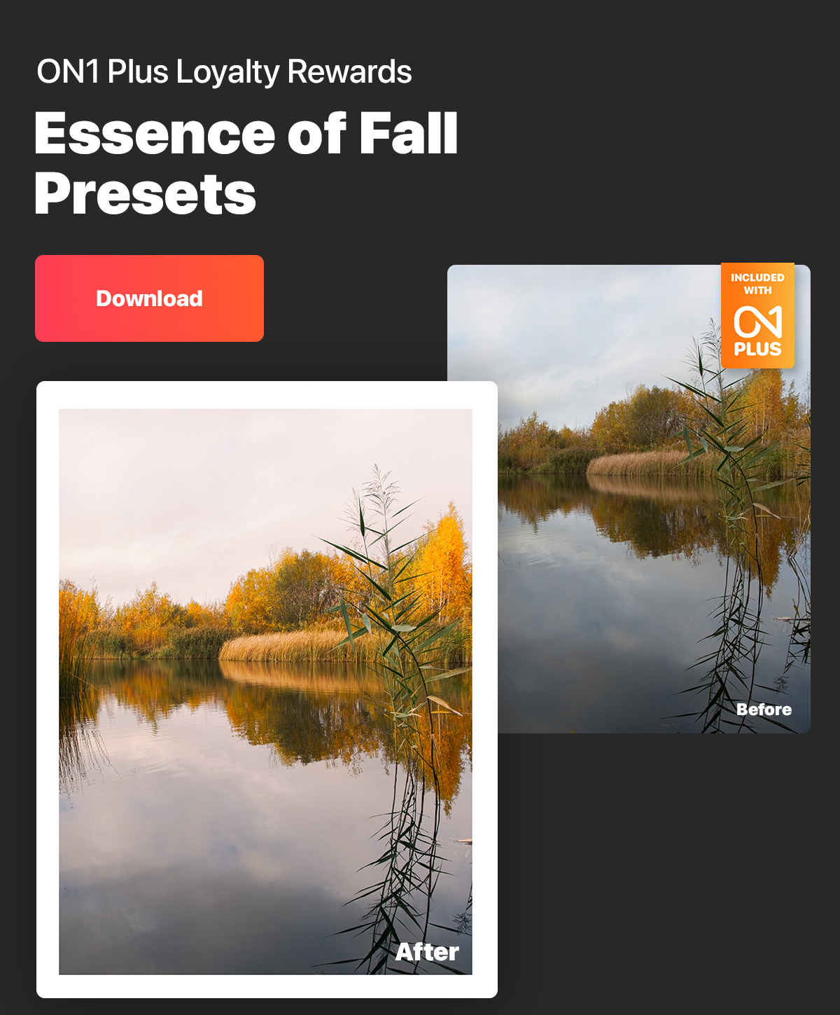 ON1 Plus Loyalty Rewards Essence of Fall Presets