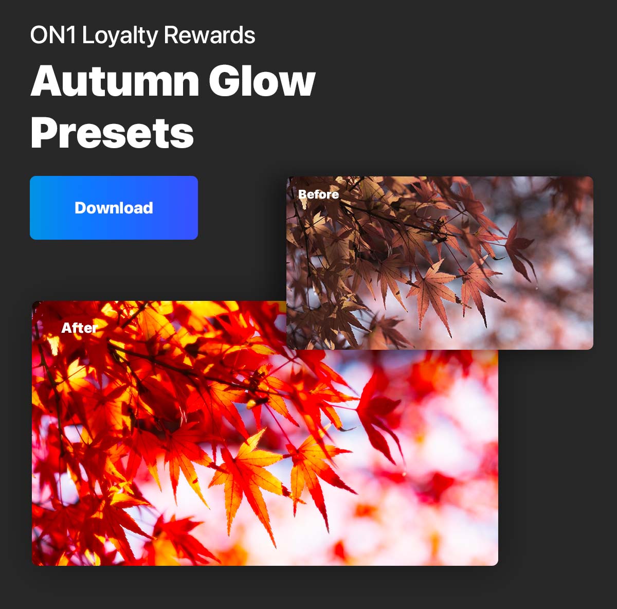 ON1 Loyalty Rewards Autumn Glow Presets [Download]