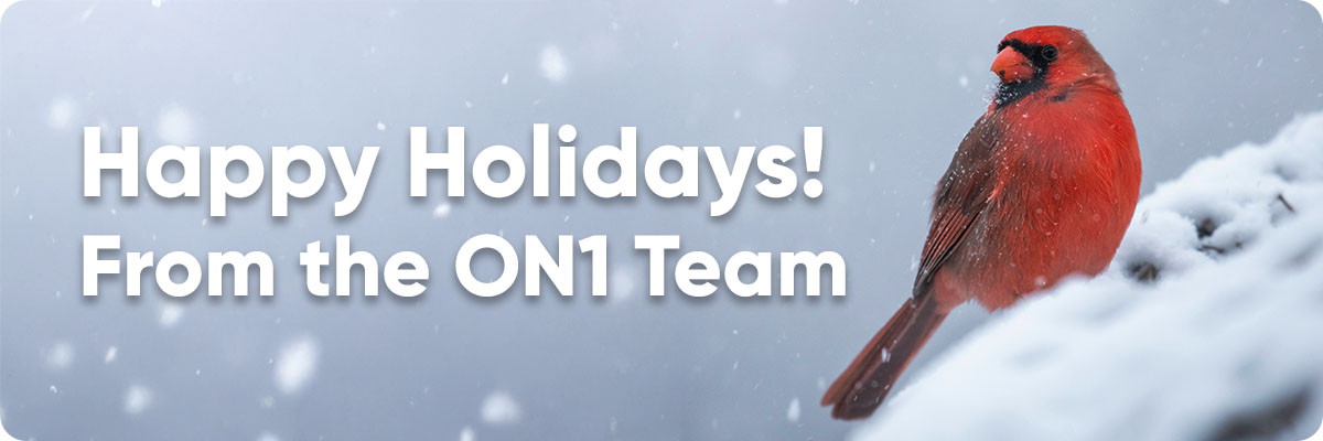 Happy Holidays from the ON1 Team